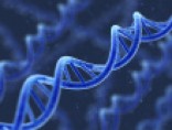 DNA Strand